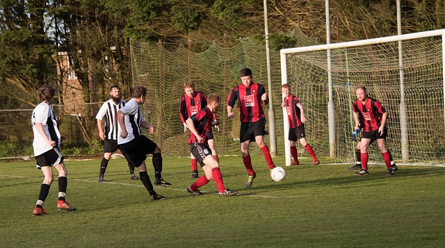 的地方特色 的地方特色