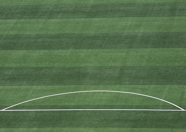 虽然展现出 虽然展现出