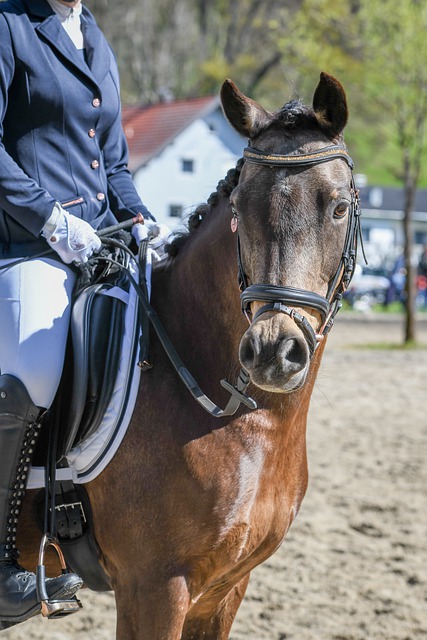 洋早已成为 洋早已成为